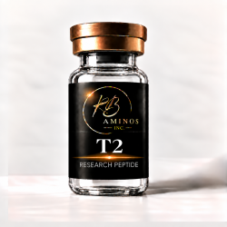 T2