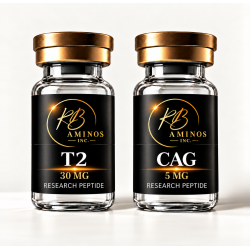 T2 Dynamic Duo